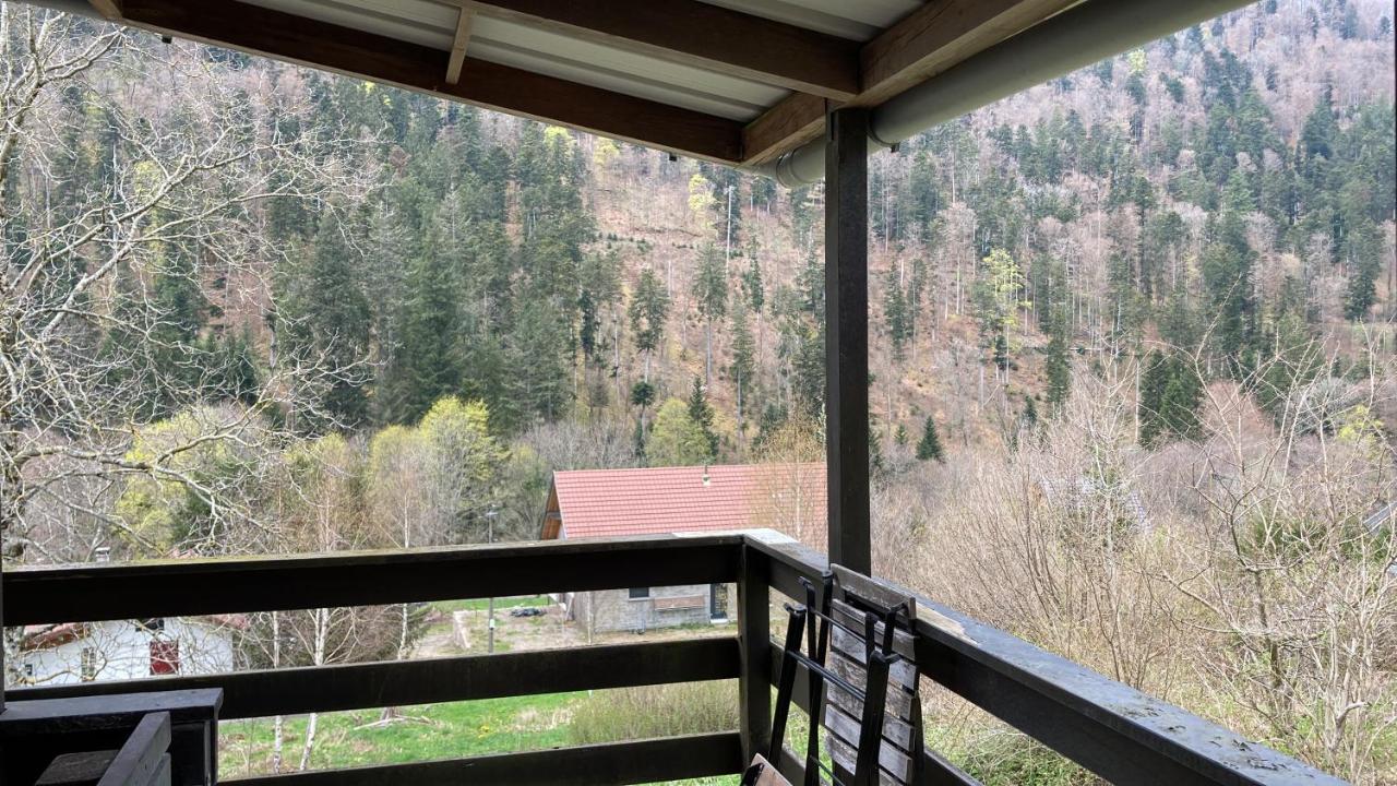 Le Chalet Du Coeur Mittlach Екстериор снимка