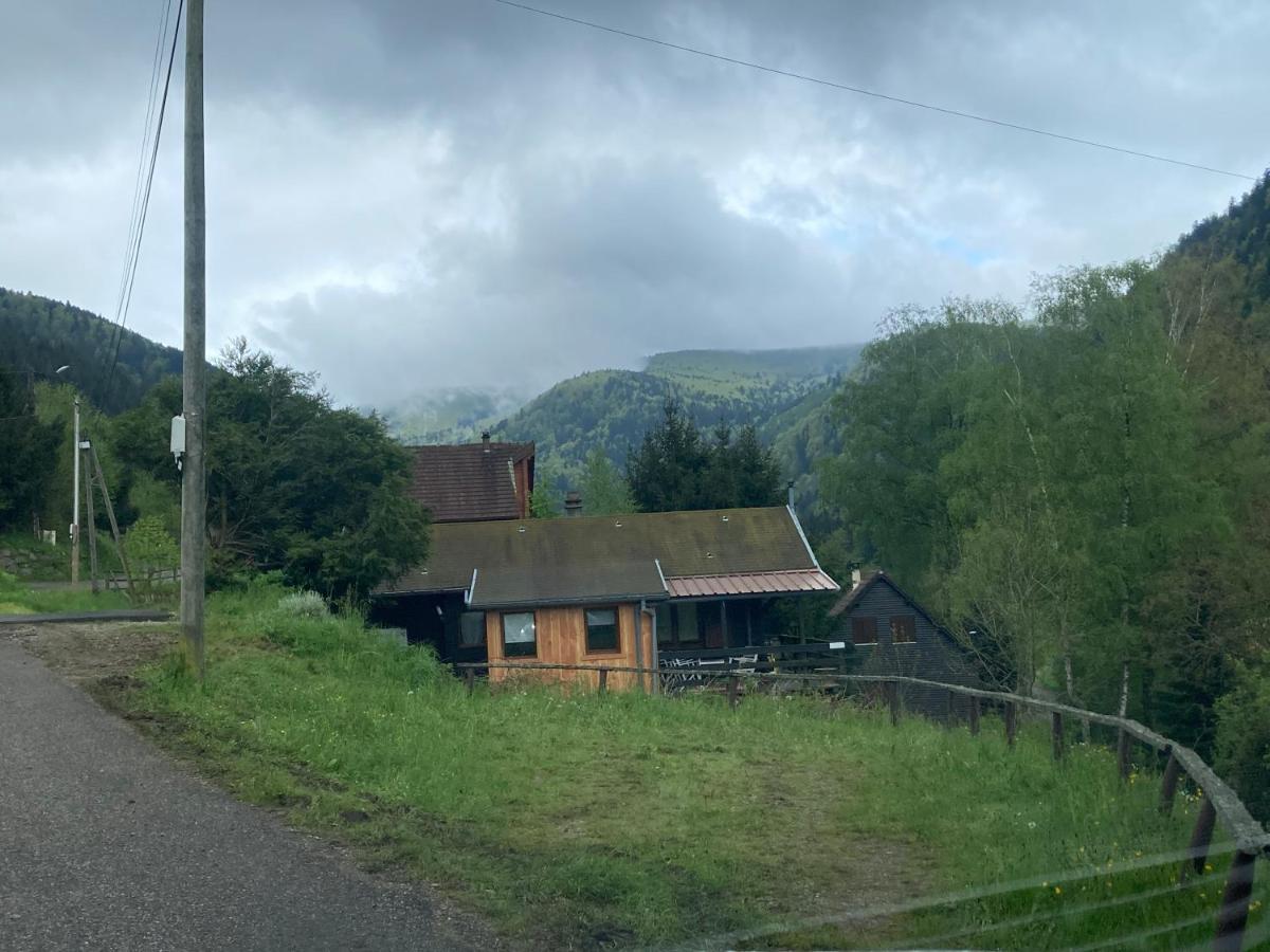 Le Chalet Du Coeur Mittlach Екстериор снимка