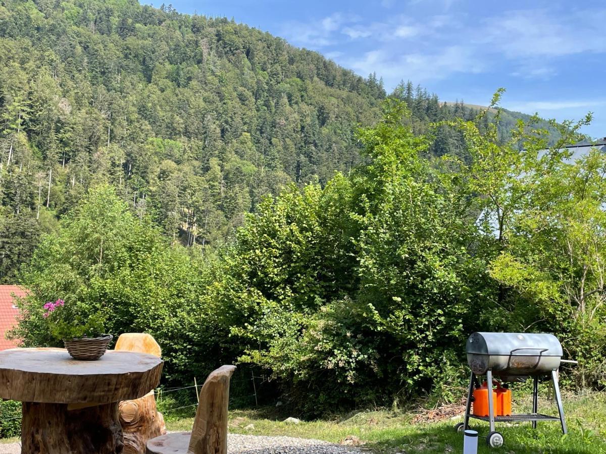 Le Chalet Du Coeur Mittlach Екстериор снимка
