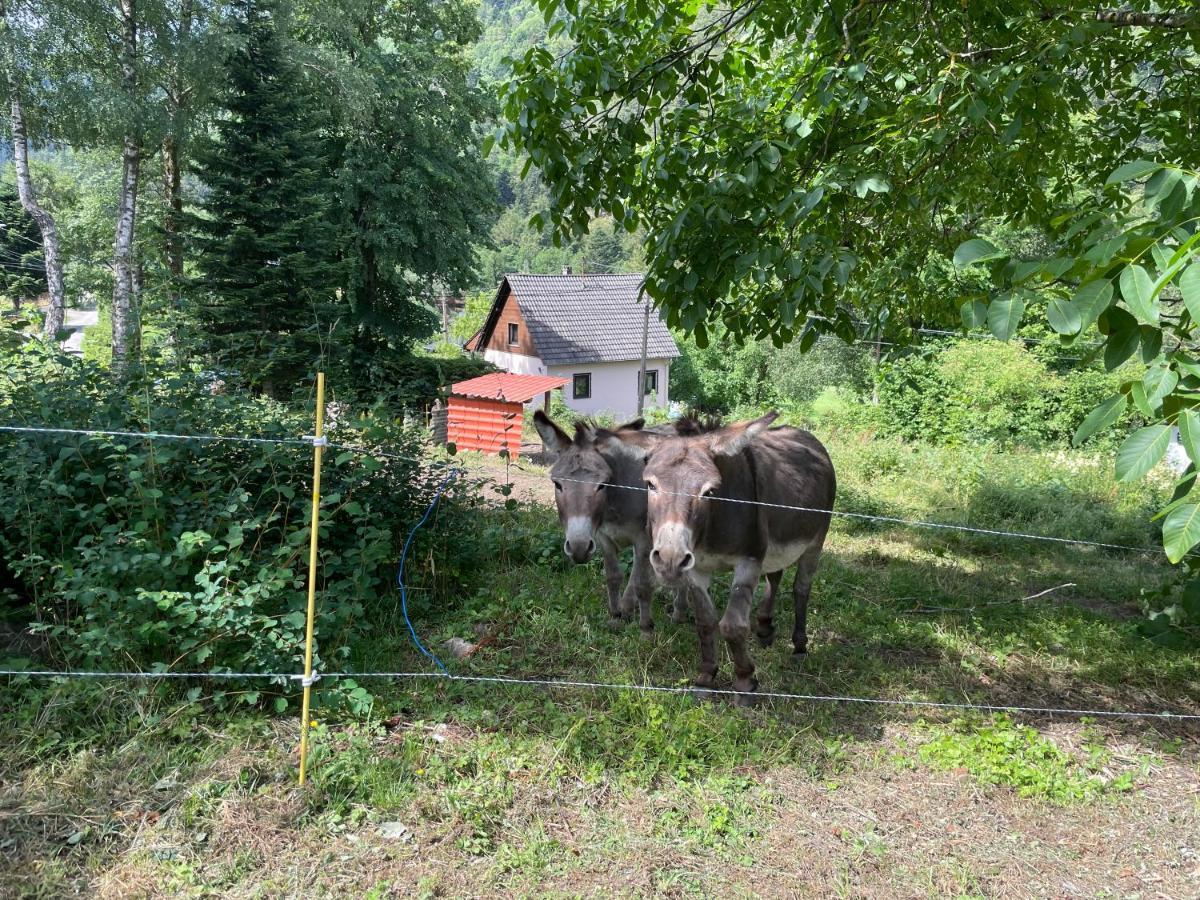 Le Chalet Du Coeur Mittlach Екстериор снимка