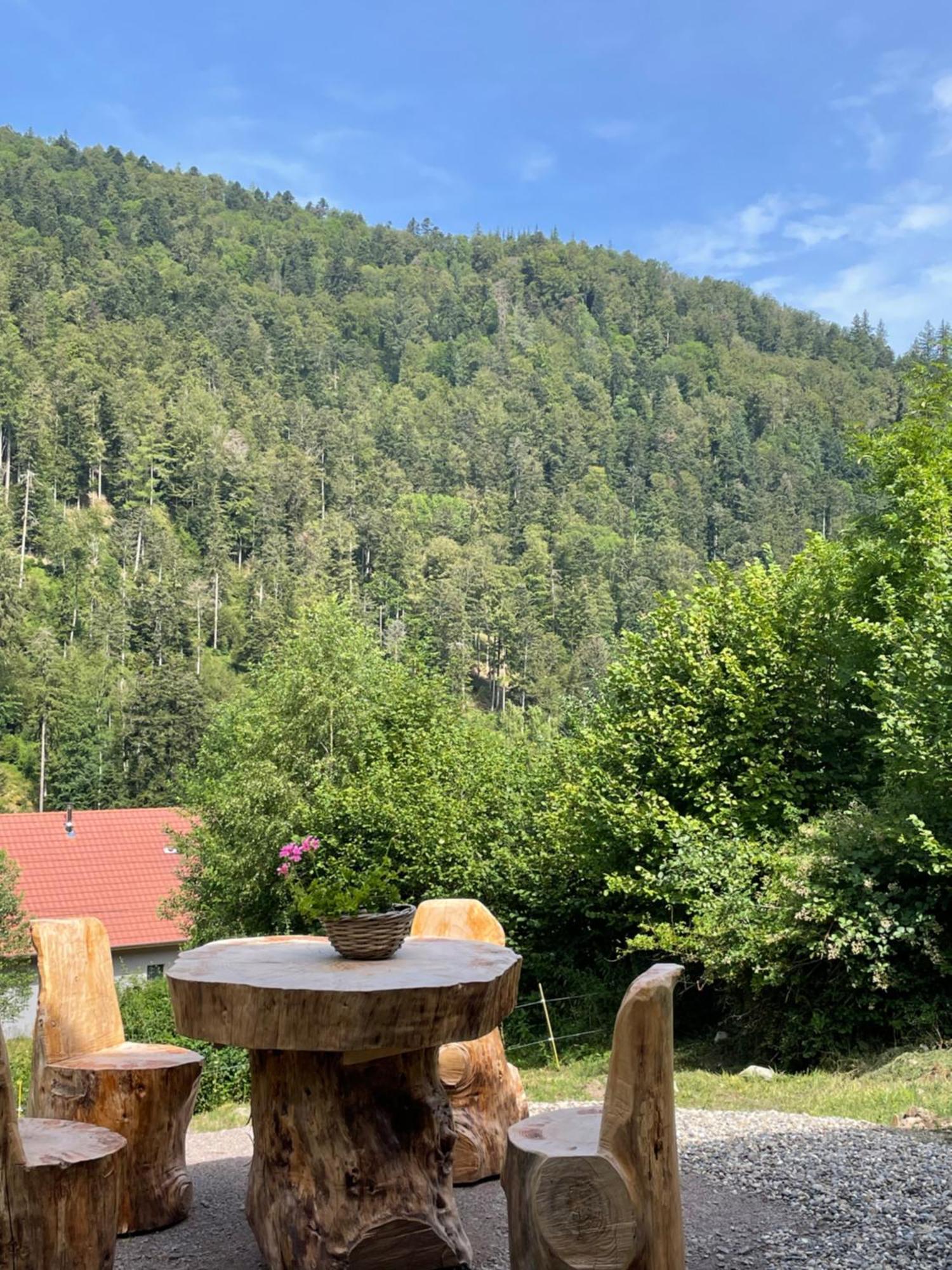 Le Chalet Du Coeur Mittlach Екстериор снимка
